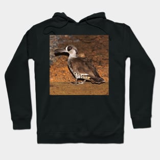 Pink Eared Duck - by South Australian artist Avril Thomas at Magpie Springs Hoodie